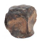 Lot 262 Massive Fossil Vertebrate, 8 Lbs!