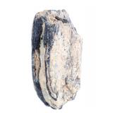 Lot 270 Ancient Woolly Mammoth Molar Section