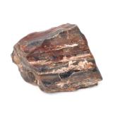 Lot 278 Wonderful Petrified Wood Section