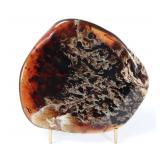 Lot 201 Gorgeous All Natural Amber Slab on Stand