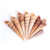 Lot 238 Group of 8 Turritella Seashells