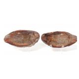 Lot 239 Ancient Reptile or Dinosaur Fossil