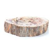 Lot 245 Gorgeous Heavy Petrified Wood Slab