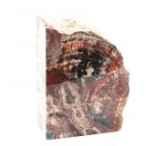 Lot 246 Gorgeous Ancient Rainbow Petrified Wood Section