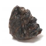 Lot 256 Ancient Wooly Mammoth Molar Section