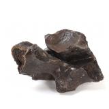 Lot 258 Ancient Fossilized Wooly Mammoth Bone