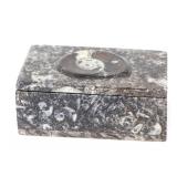 Lot 262 Fossilized Ammonite Jewelry Box