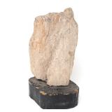 Lot 263 Large Mounted Section of Petrified Wood