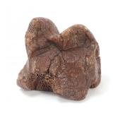 Lot 199 Ancient Fossilized Dinosaur Joint Bone