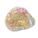 Lot 200 Raw Yellow Dendritic Moss Opal