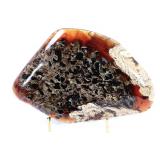 Lot 209 Gorgeous Natural Amber Slab on Stand