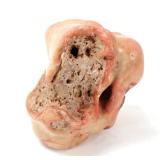 Lot 213 Beautiful Section of Raw Pink Coral