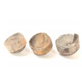 Lot 223 Fossilized Marine Reptile Spinal Bones