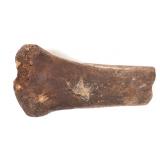 Lot 227 Ancient Fossilized Dinosaur Femur Bone