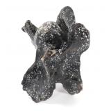 Lot 231 Ancient Fossilized Dinosaur Bone