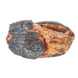 Lot 232 Wonderful Fossilized Mammoth Tooth Section