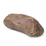 Lot 236 Wonderful Ancient Fossilized Dinosaur Bone