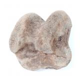 Lot 244 Ancient Fossilized Dinosaur Bone
