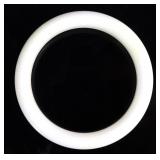 Lot 167 Chinese White Jade Bangle Bracelet