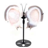 Lot 273 Gorgeous Amethyst Winged Butterfly