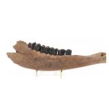 Lot 288 Ancient Fossilized Jawbone & Teeth on Stand