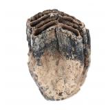 Lot 291 Wonderful Woolly Mammoth Partial Molar Section