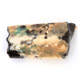 Lot 296 Baculite Fossil with Shell Iridescence