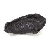 Lot 301 Ancient Dinosaur Bone Section