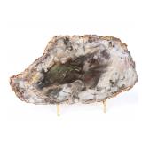 Lot 271 Gorgeous Petrified Wood Slab wStand