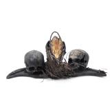 Lot 390 Filipino Human Trophy Skulls Display, Ifugao