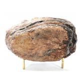 Lot 268 Fine Section of Woolly Mammoth Tooth wStand