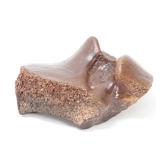 Lot 295 Wonderful Woolly Mammoth Vertebra Section