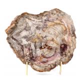 Lot 299 Wonderful Slab of Ancient Petrified Wood wStand