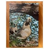 149 LeopardPhotobyTeresa