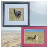 3 Elephant&LionPhotographyArtbyJan