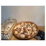 Sea Shells & Sand Dollars
