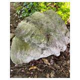 85 GiantNaturalClamShell