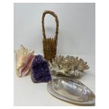 121 ConchShellCrystalRock&Coral