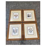 Four Botanical Illustration Prints in Gold Tone Frames