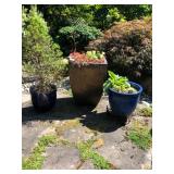 Outdoor Planter Trio - Two Ceramic, One Large Metal Planter & Plants