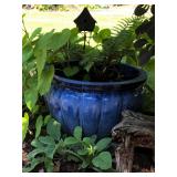 Large Ceramic Blue Planter & Metal Garden Accent with Live Plant