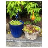 Garden Planter Group – Ceramic & Concrete Pots, Plants & Glass Art