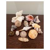 Natural SeaShell Mix & Polished Agate