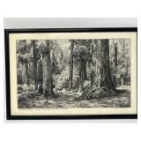 Lloyd Harting “The Big Trees, Mariposa Grove” Framed Print