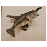 8lb Largemouth Bass Taxidermy
