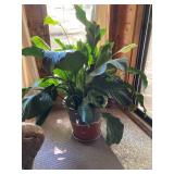 East Side Moving Sale