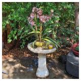 Bird bath and vintage planters and pots