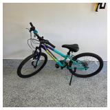 Nishiki Pueblo 24 mountain bike