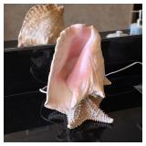 Vintage conch shell lamp