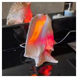 Vintage conch shell lamp